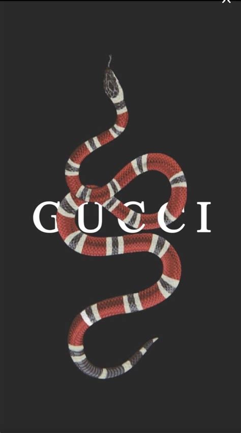 gucci bags aesthetic|gucci aesthetic background.